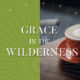 Grace In The Wilderness